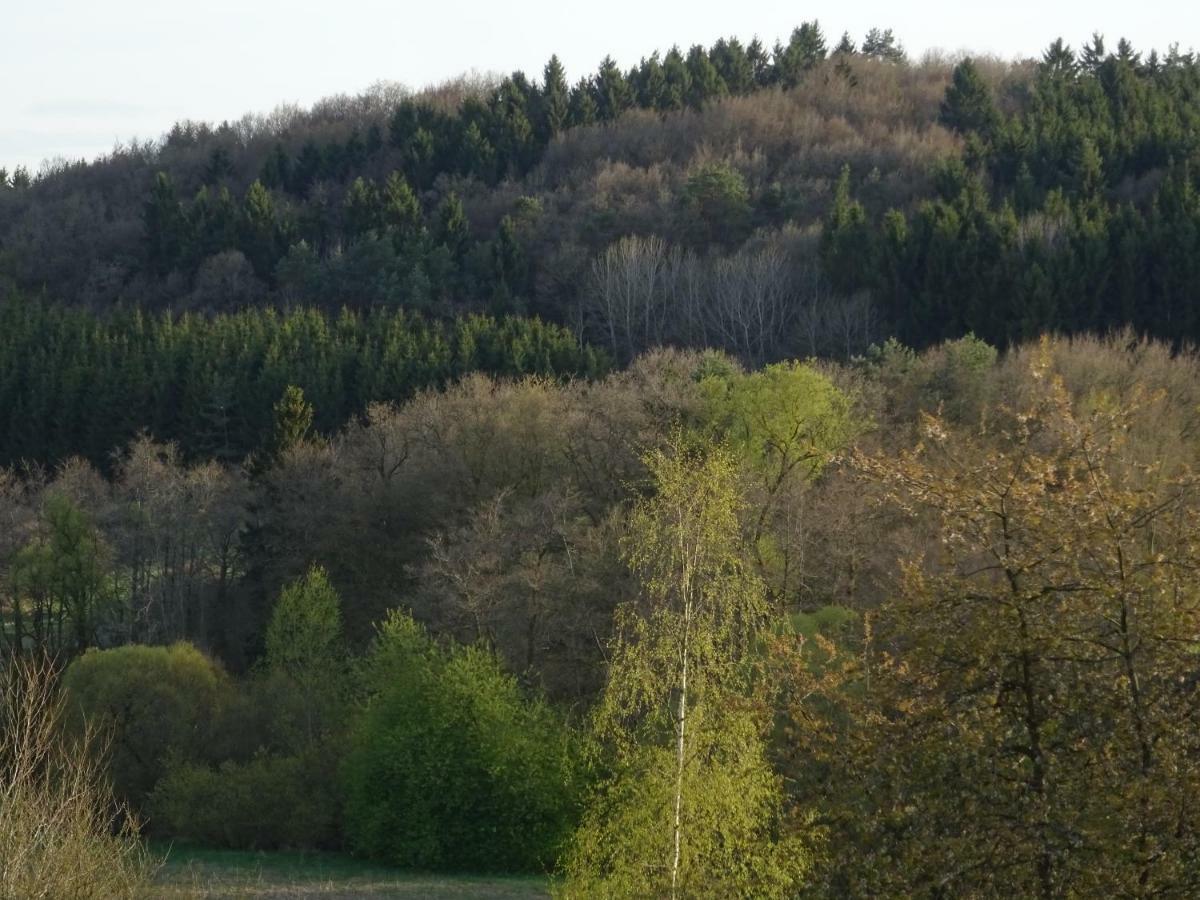 Haus Am Sonnenberg Leilighet Ulmen Eksteriør bilde